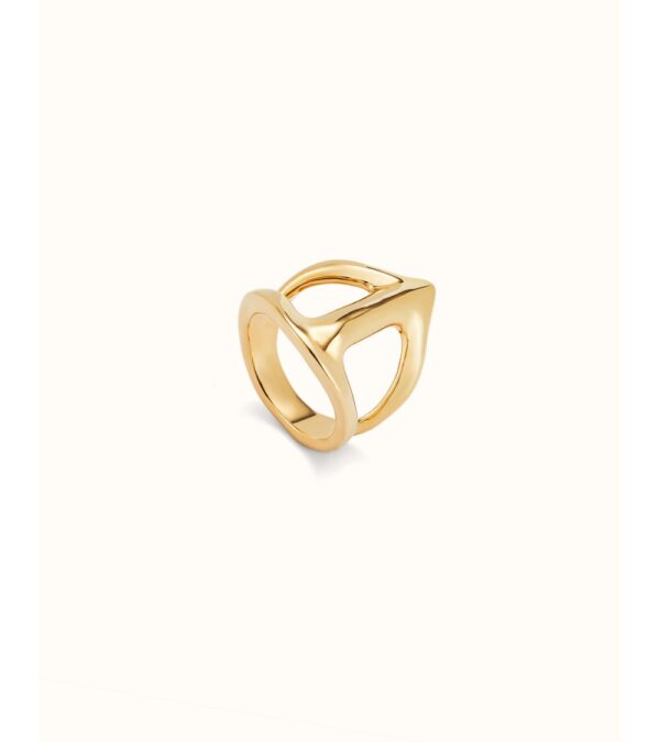 ANI0846ORO0000